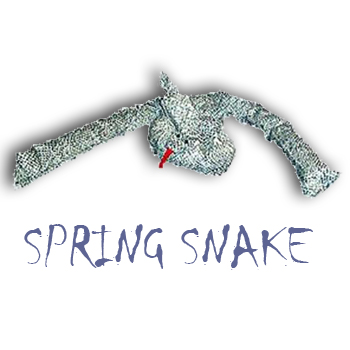 (image for) Spring Snakes - 2 Set - Cloth Covered